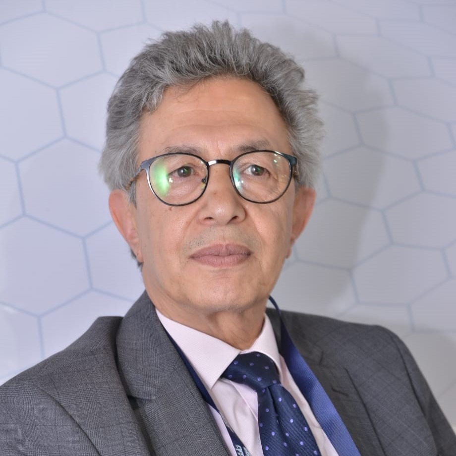 Pr. Houssine Azeddoug